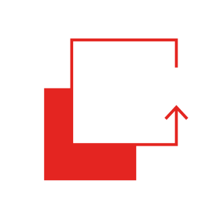 Icon Programme